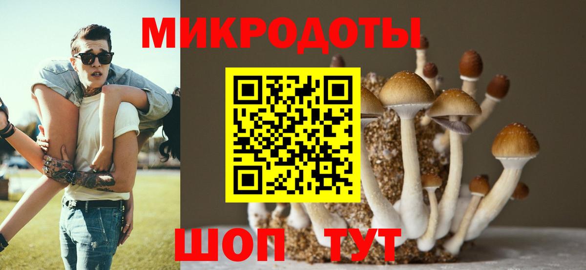 Галлюциногенные грибы Cubensis  Вход с VPN  Аша 