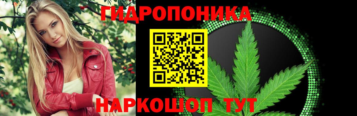 Бошки марихуана Amnesia Аша